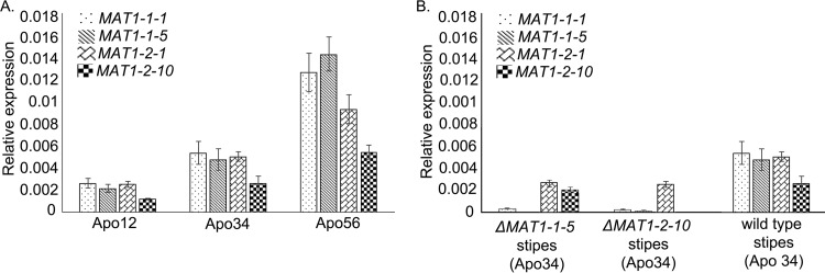 FIG 4 