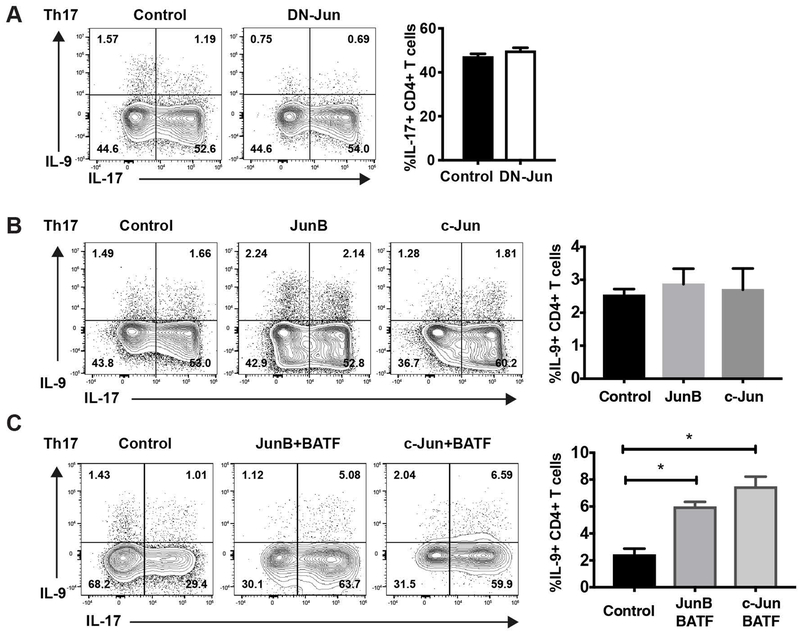 Fig 3.