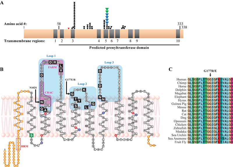 Figure 3.