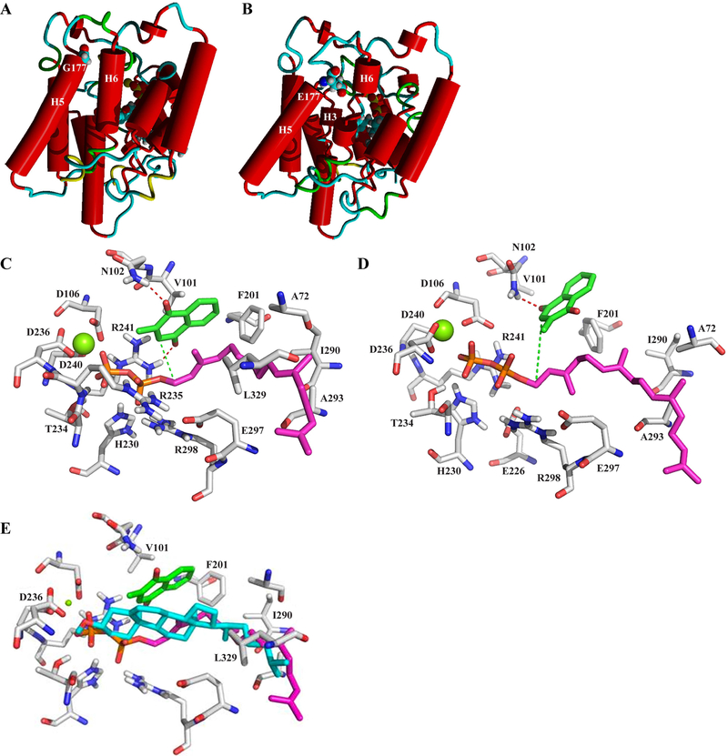 Figure 5.