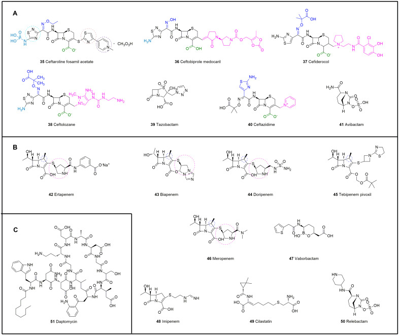 Figure 12