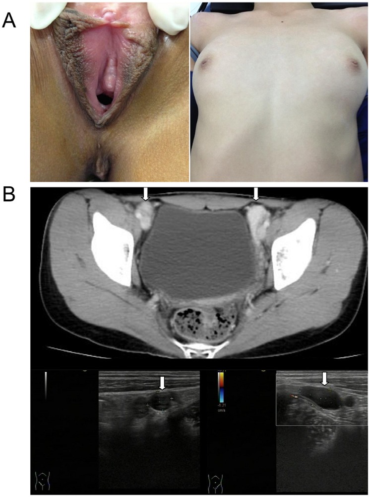 Figure 3.