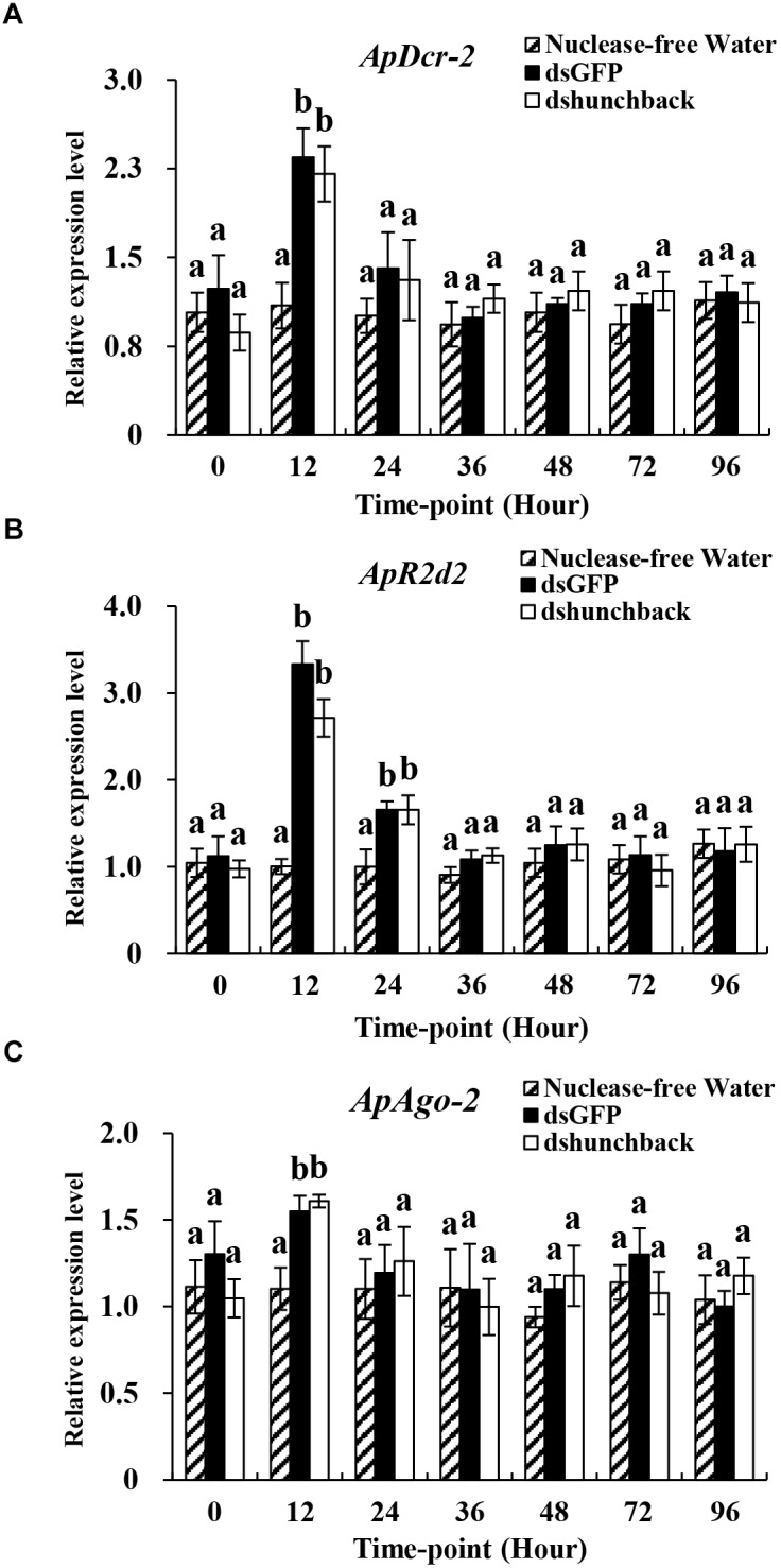 FIGURE 4