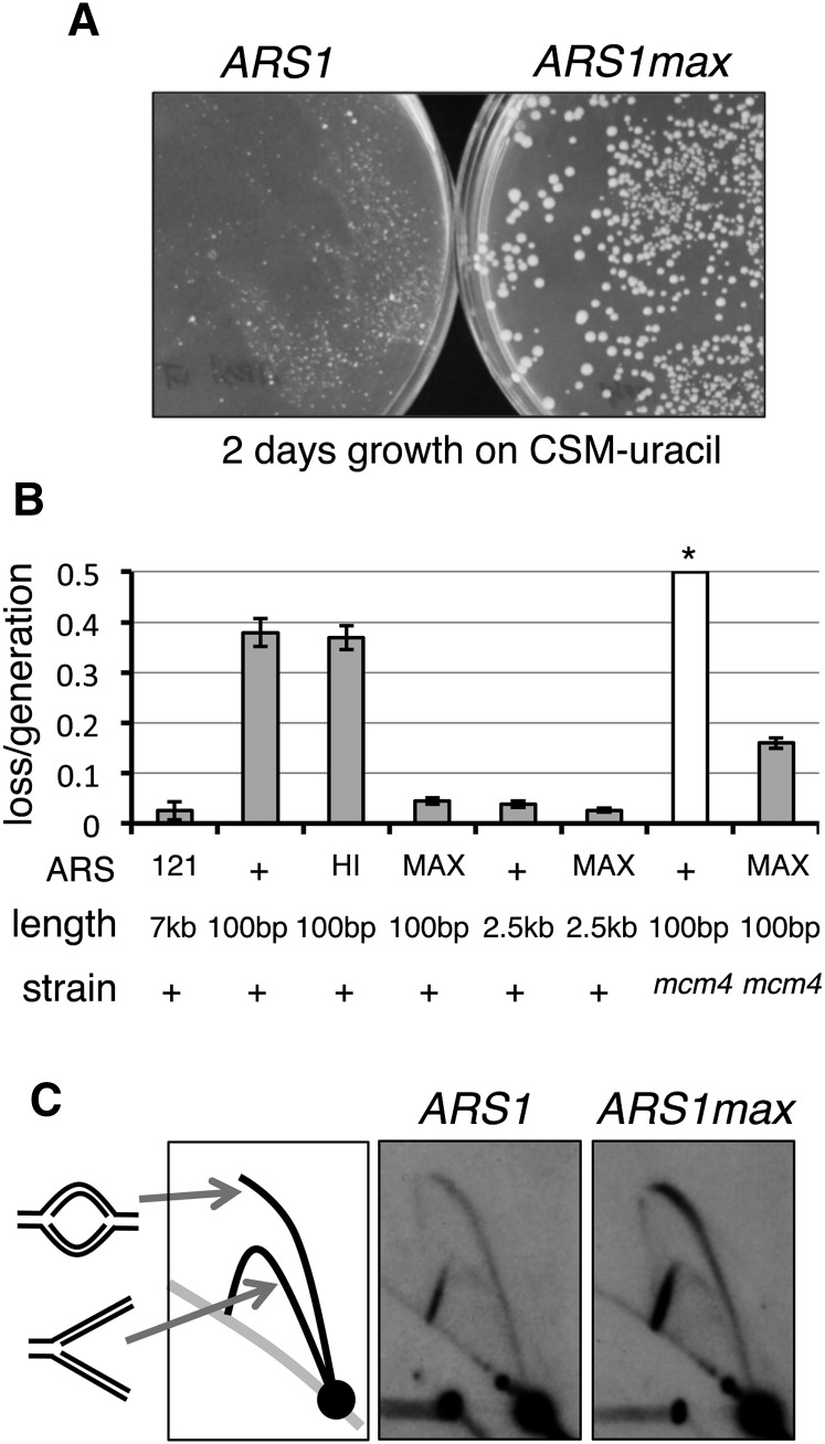 Figure 3.