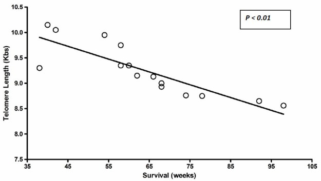 FIGURE. 1