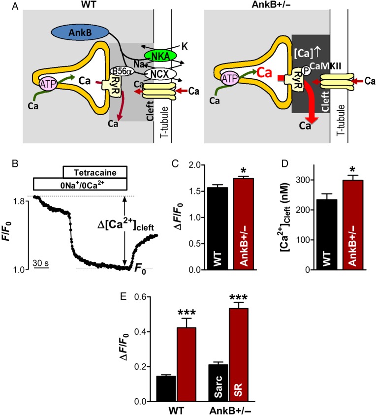 Figure 5