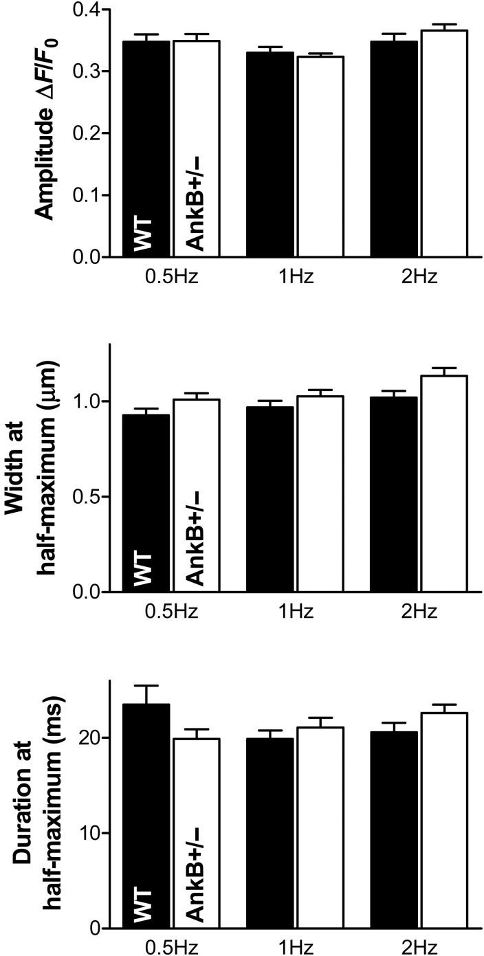 Figure 3