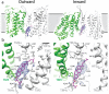 Figure 3—figure supplement 2.