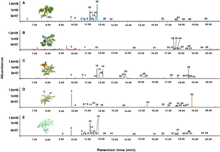 Figure 3