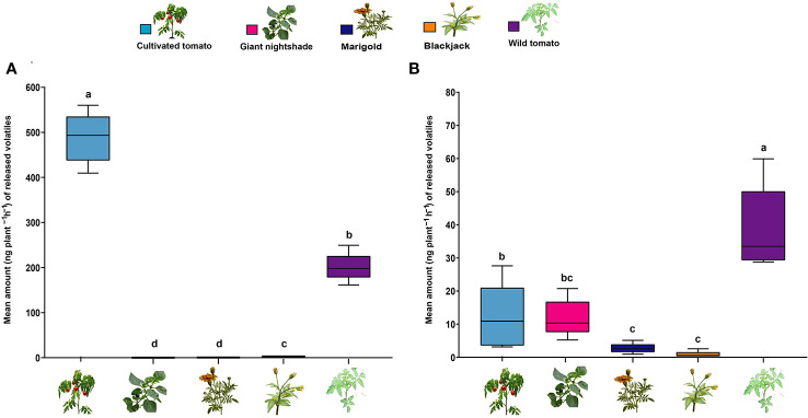 Figure 6