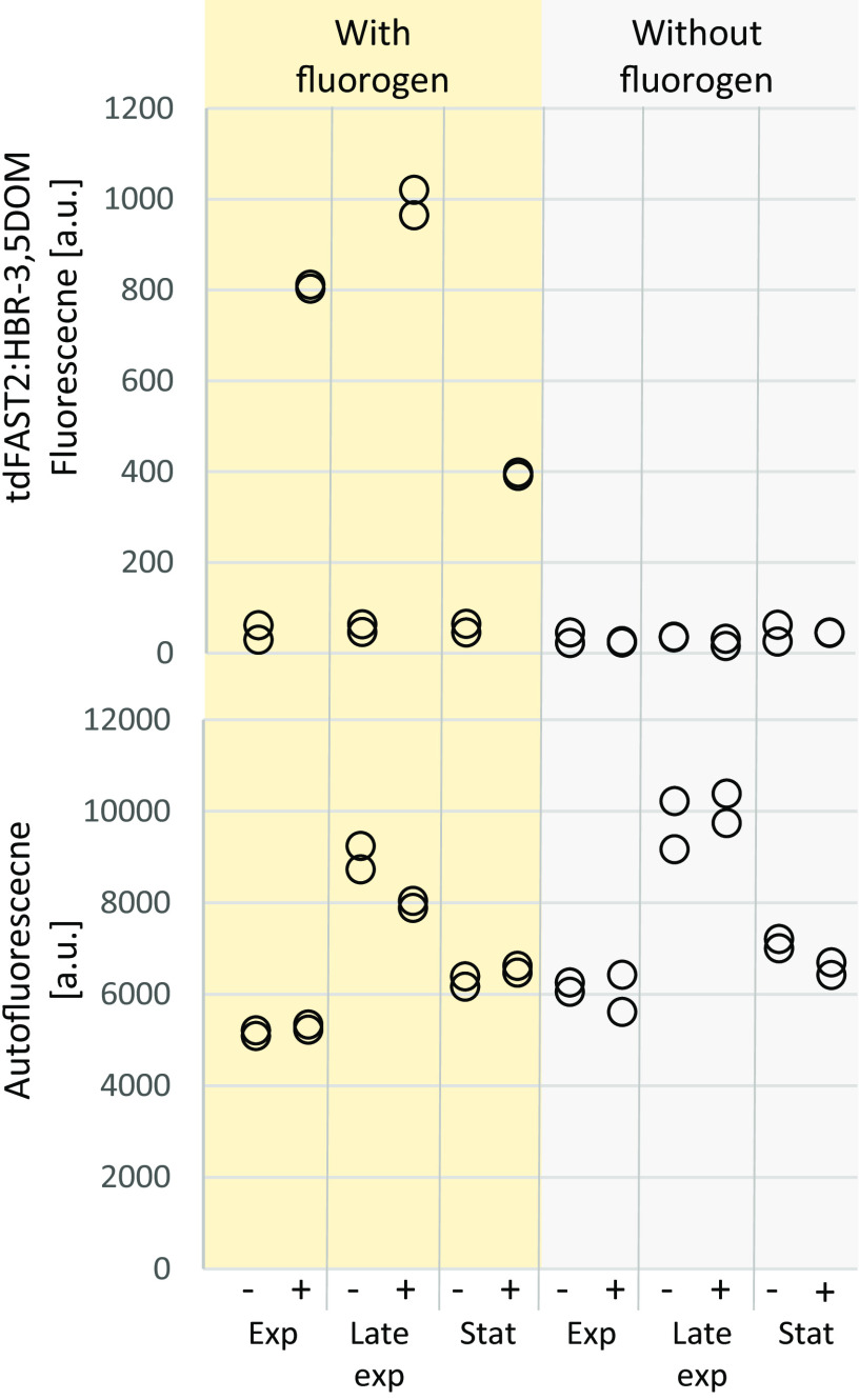 FIG 3