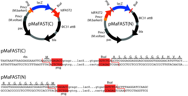 FIG 6