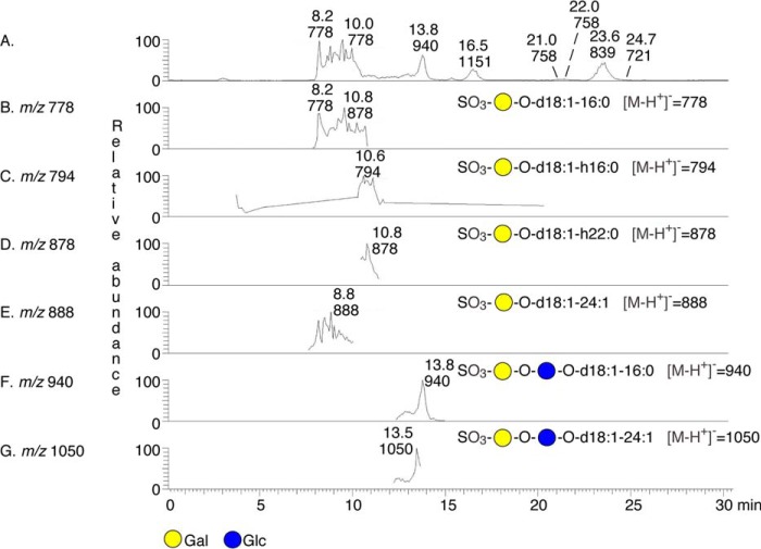 FIGURE 3.