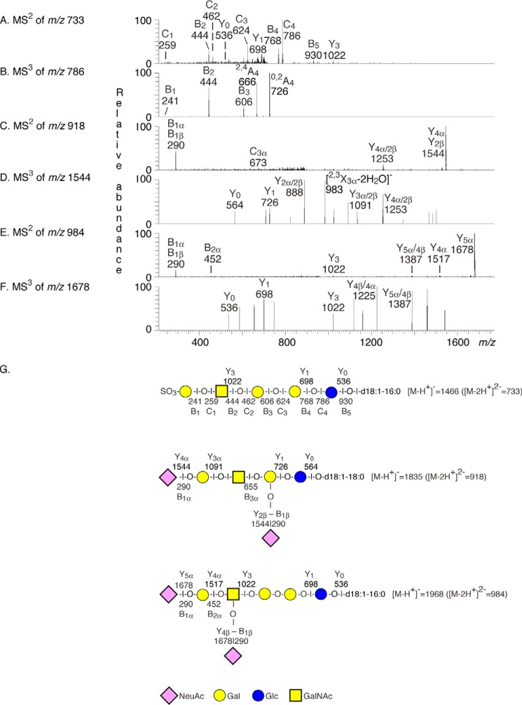 FIGURE 6.