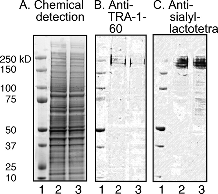 FIGURE 10.