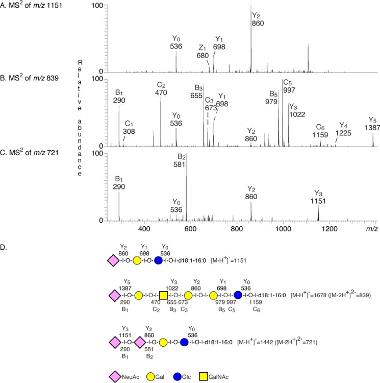 FIGURE 4.