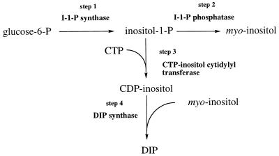 FIG. 1