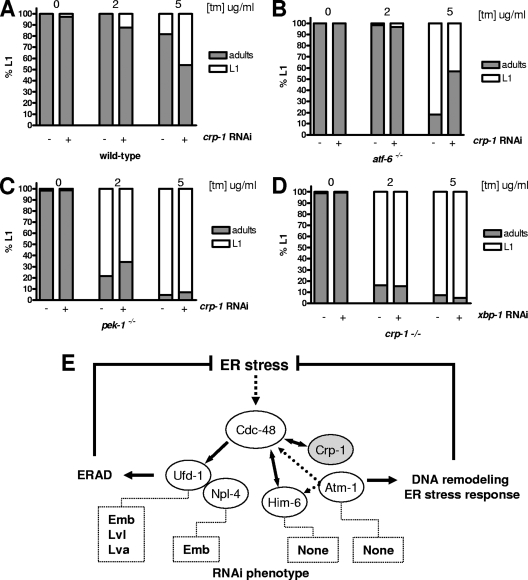 FIG. 8.