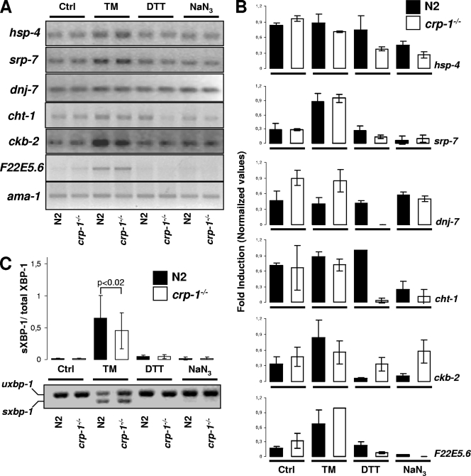 FIG. 7.