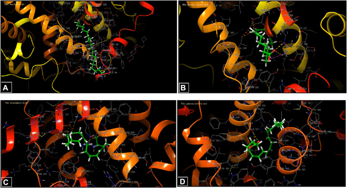 FIGURE 6