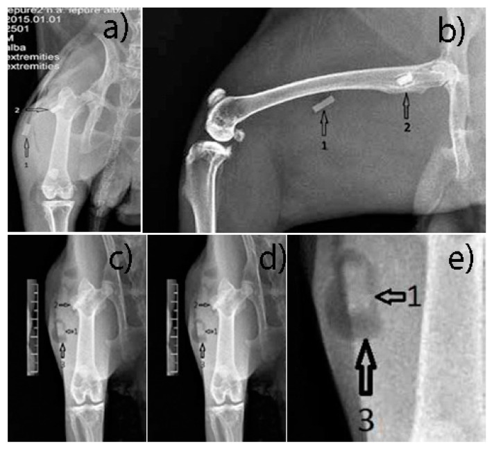 Figure 13