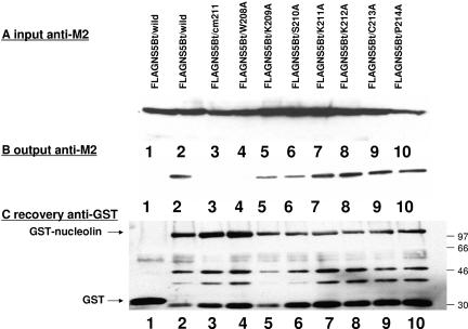 FIG. 2.