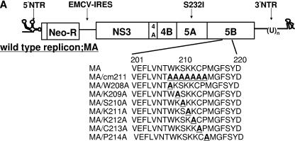 FIG.1.