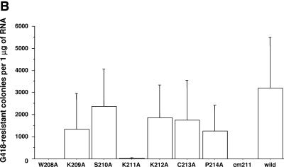 FIG.1.