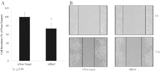 Figure 6