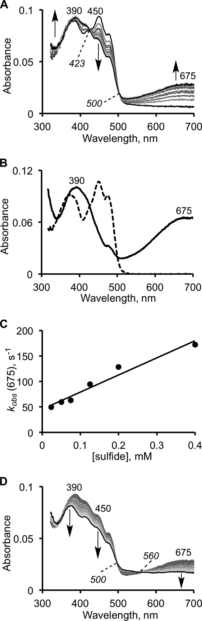 FIGURE 3.