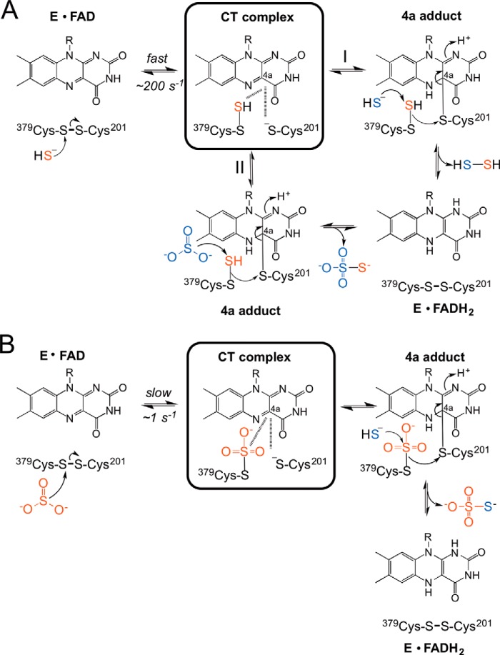 FIGURE 7.