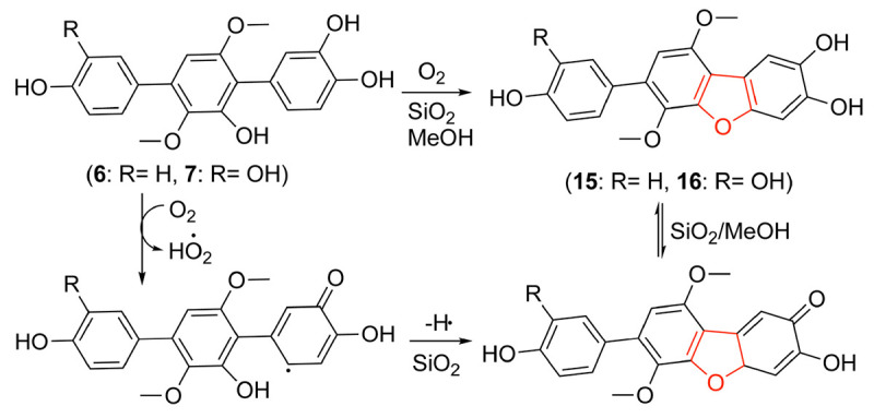 SCHEME 2