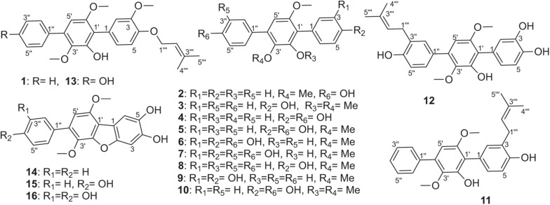 FIGURE 2