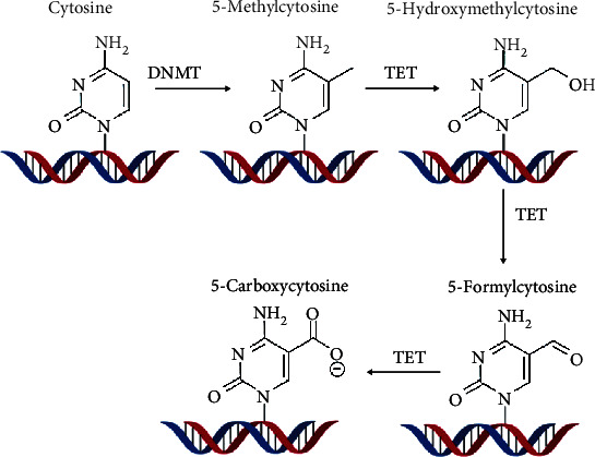 Figure 6