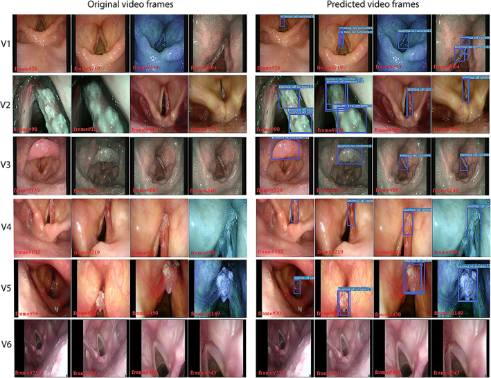 Fig 6
