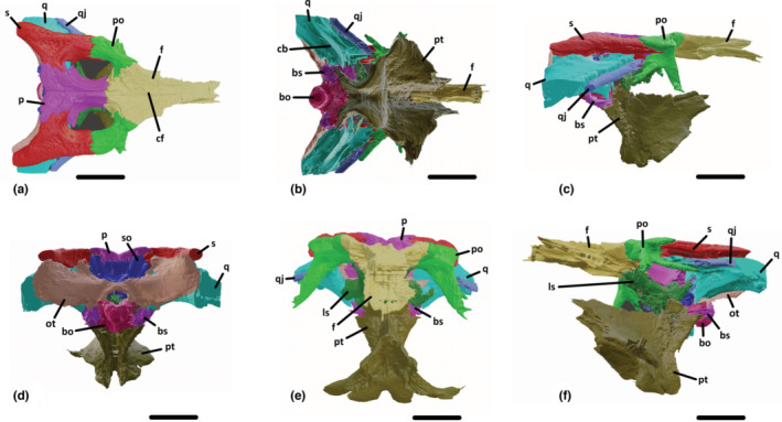 FIGURE 2