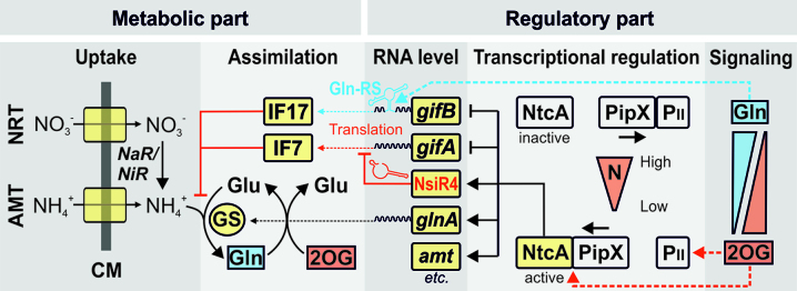 Figure 5.