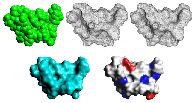 Fig. 1.1