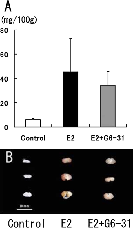 Fig. 2