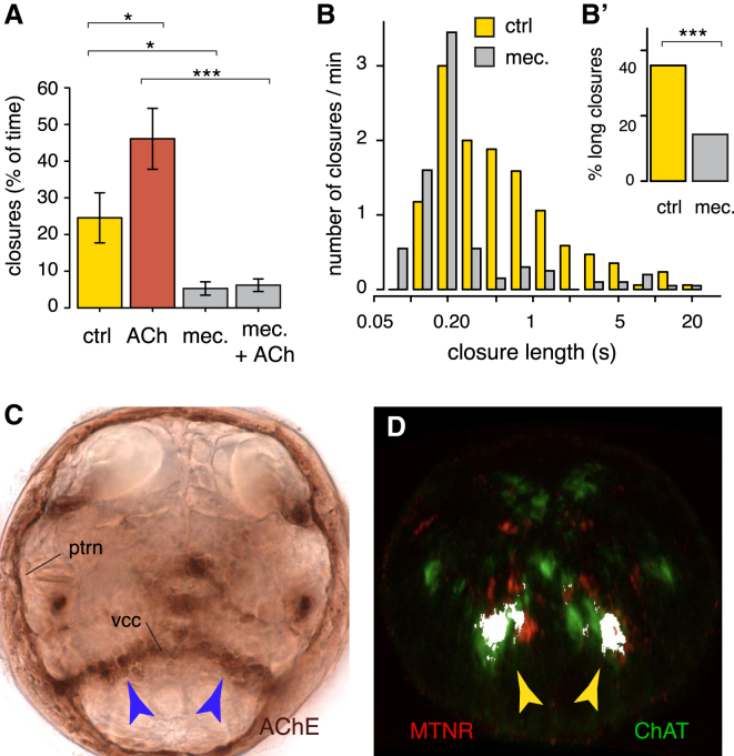 Figure 4