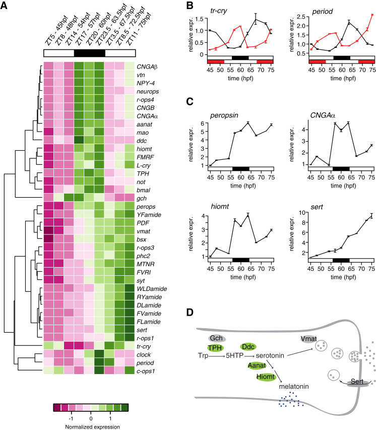 Figure 2