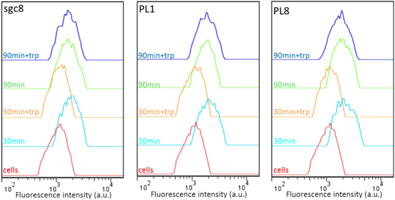 Figure 2