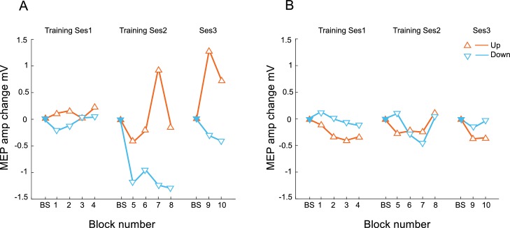 Figure 2—figure supplement 3.