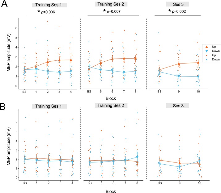 Figure 2—figure supplement 2.