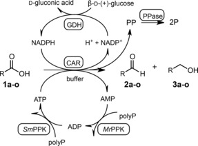 Scheme 1