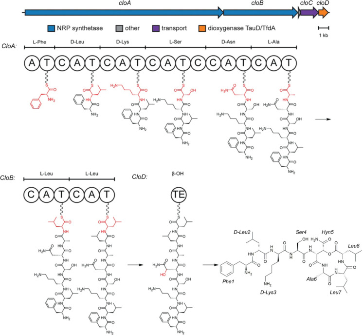 Figure 1.