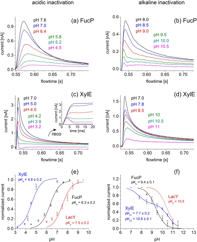 Fig 3