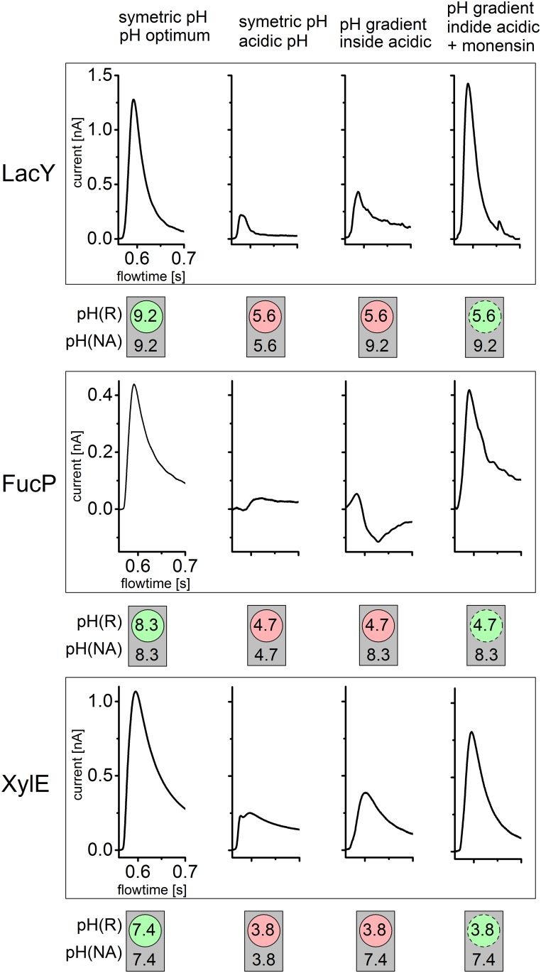 Fig 6