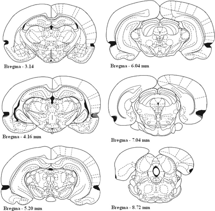 Figure 6.