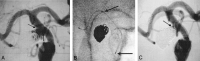 F<sc>ig</sc> 2.